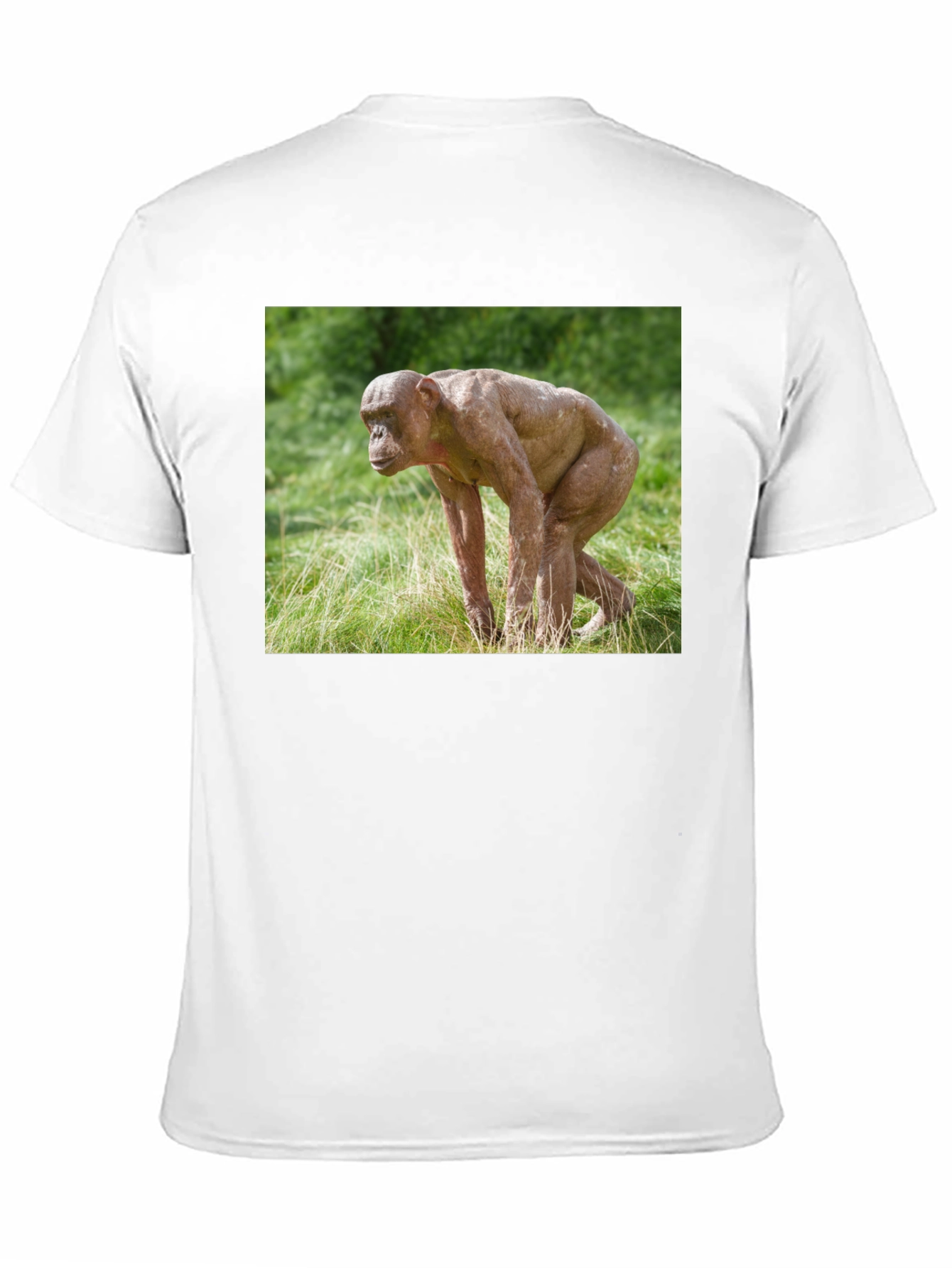 Ape T-Shirt - Unique Animal Design Tee