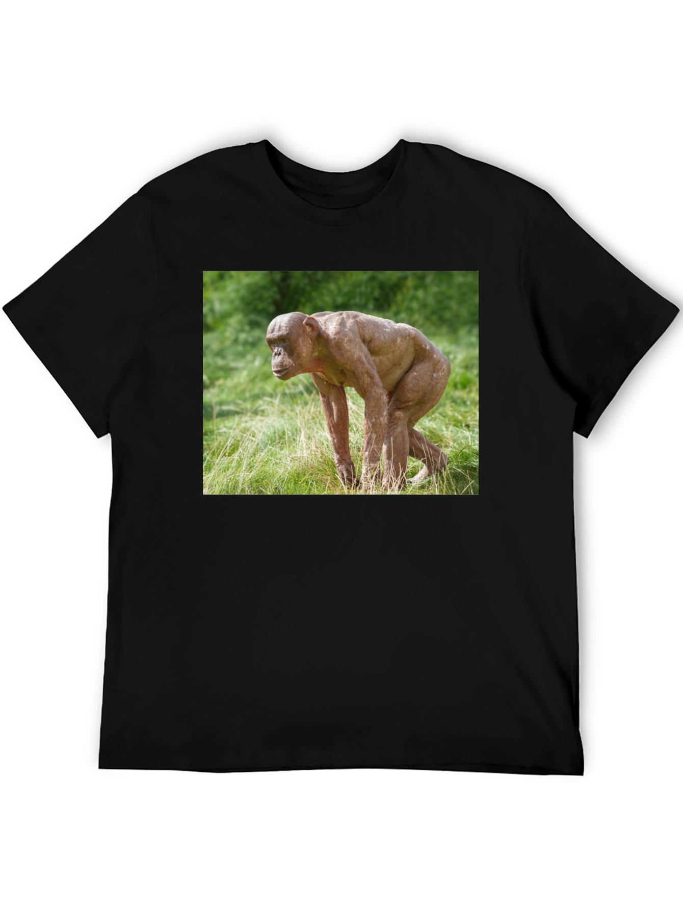 Ape T-Shirt - Unique Animal Design Tee