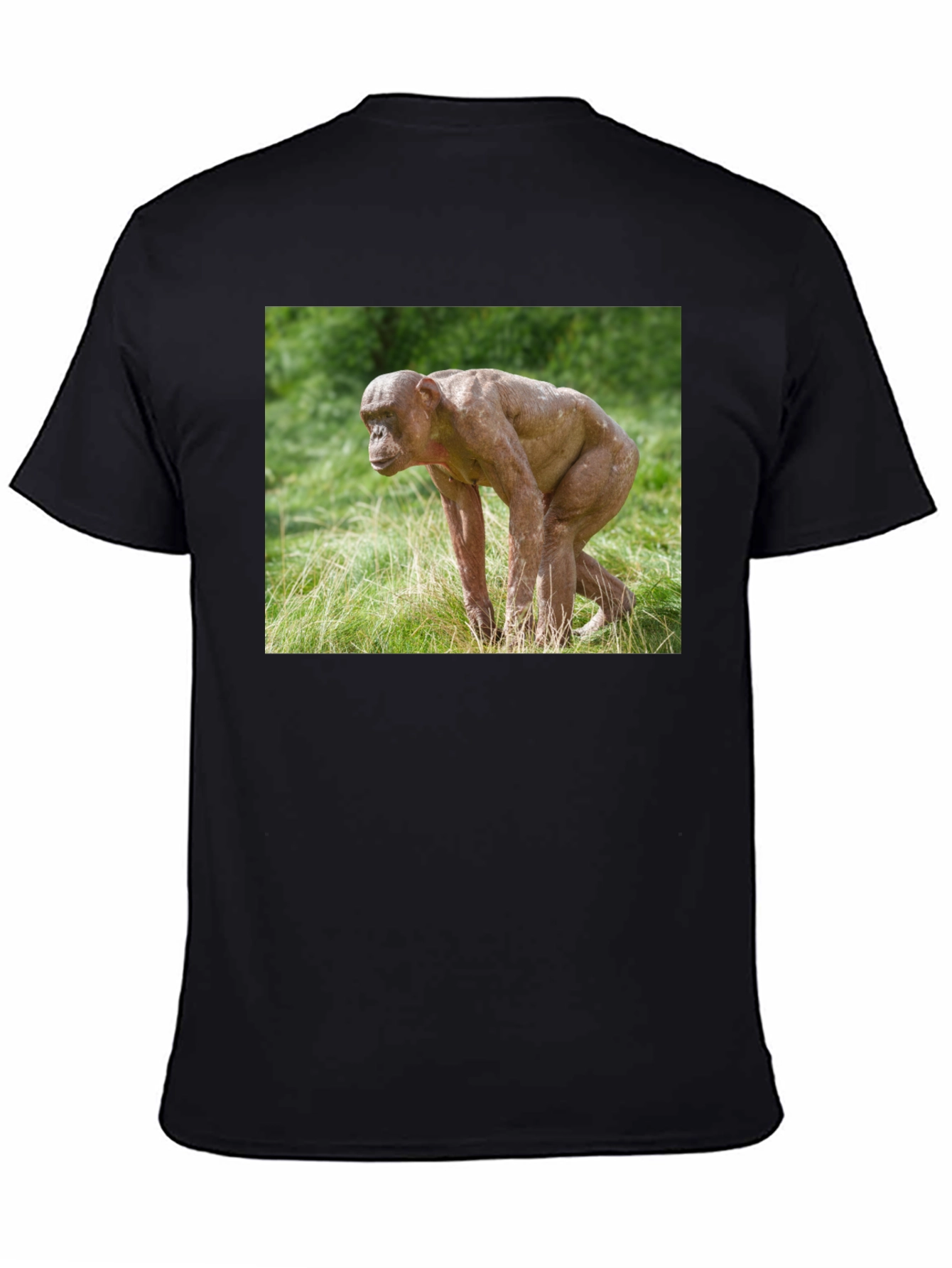 Ape T-Shirt - Unique Animal Design Tee