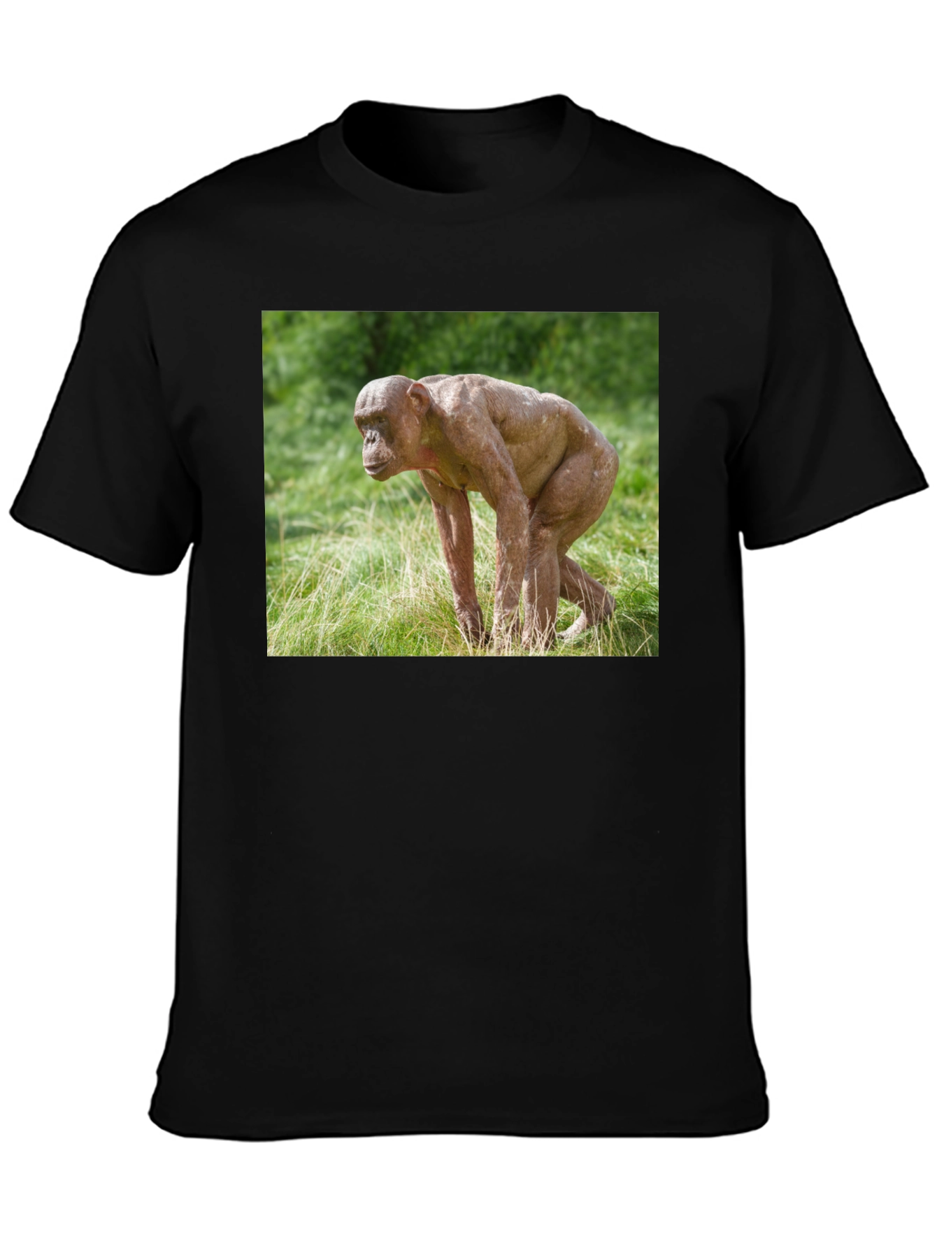 Ape T-Shirt - Unique Animal Design Tee