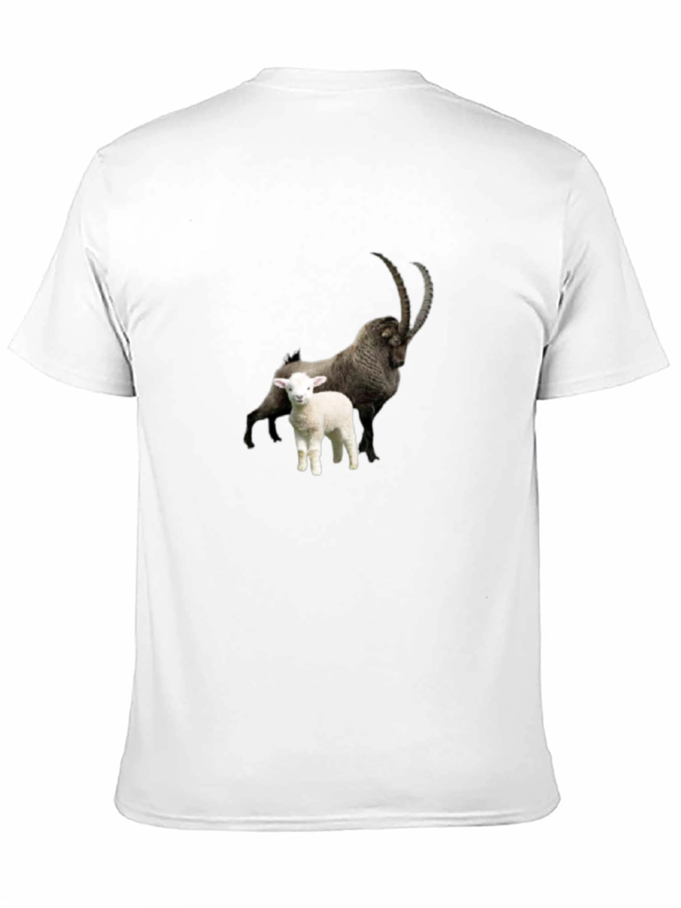 Ibex & Lamb Graphic Black Tee