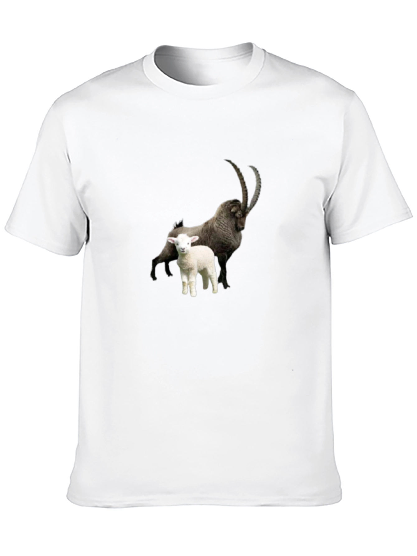 Ibex & Lamb Graphic Black Tee