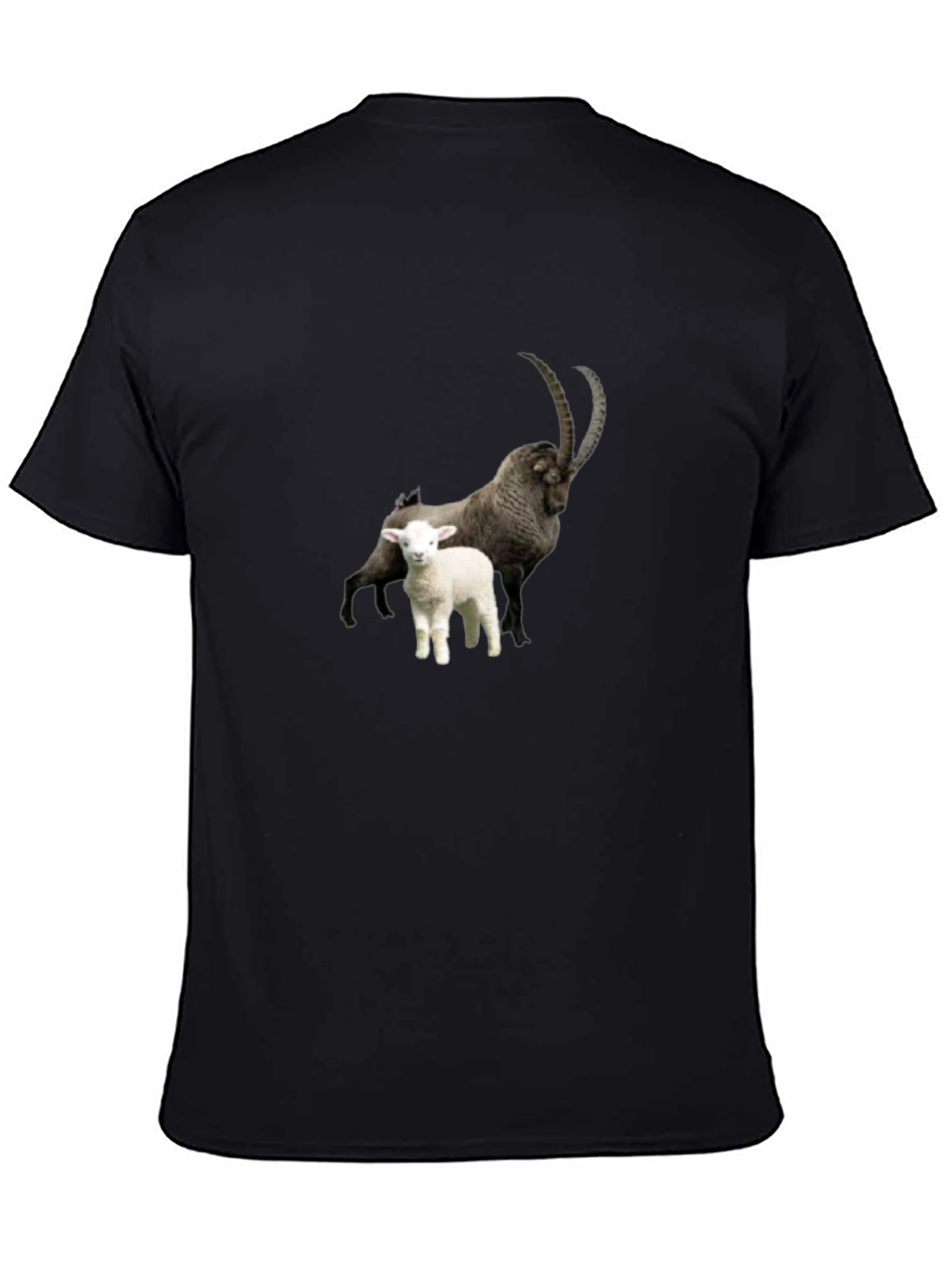 Ibex & Lamb Graphic Black Tee