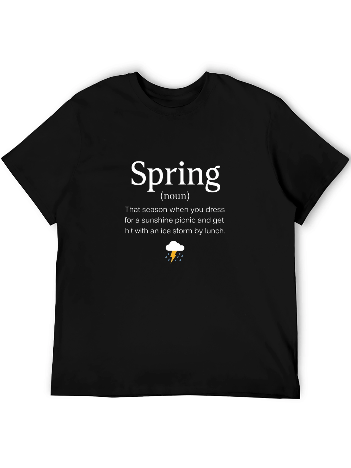 Funny Spring Definition Black T-Shirt