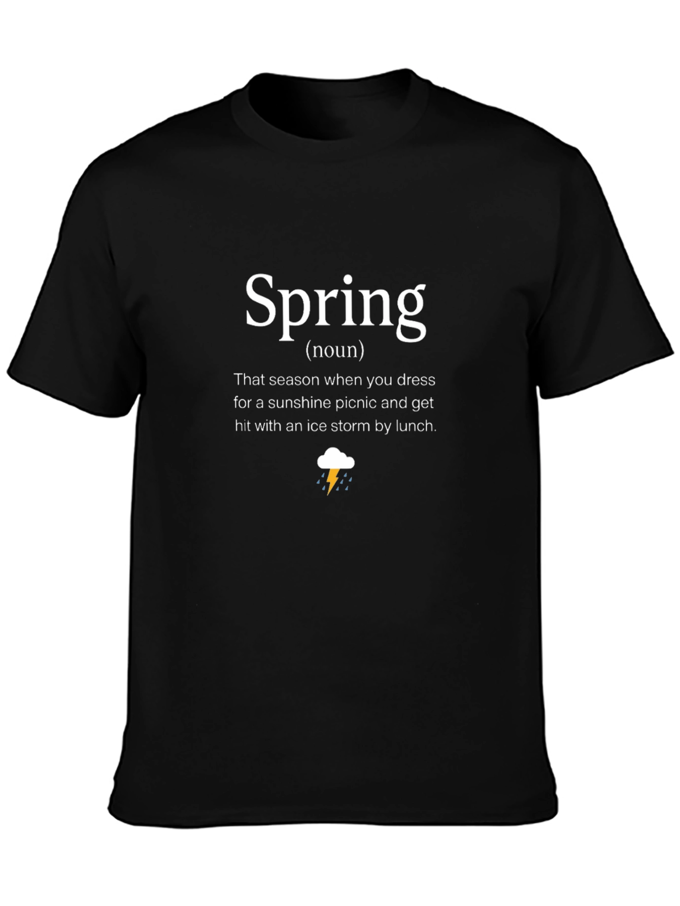 Funny Spring Definition Black T-Shirt